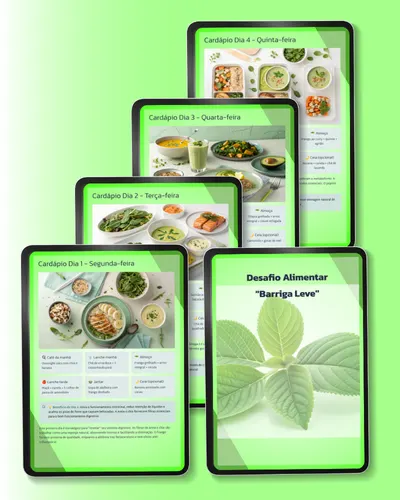 Desafio Alimentar Barriga Leve